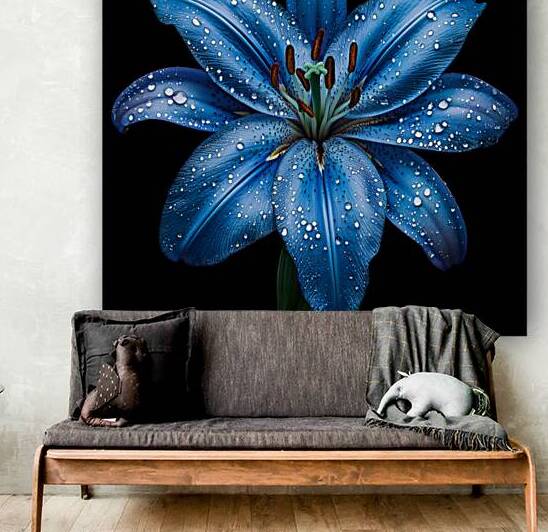 Blue Lily with Dewdrops on Black Background by Fab Haven
