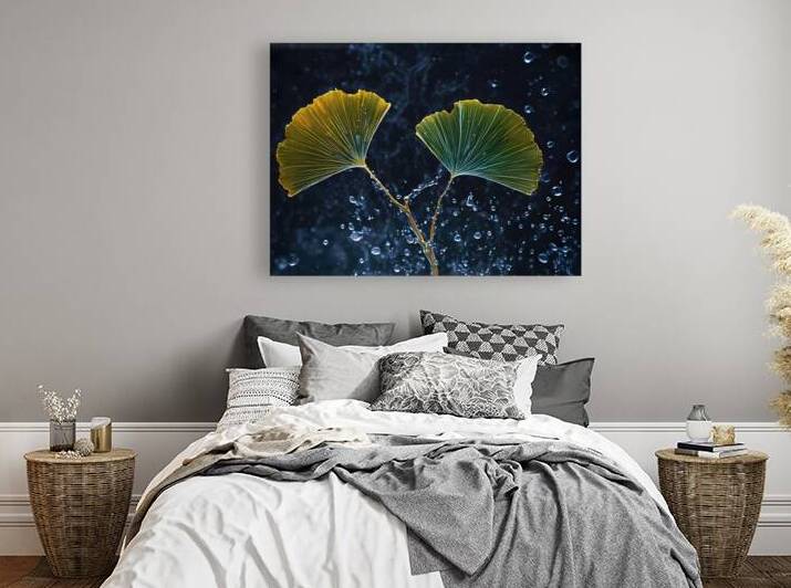 Ginkgo Leaves Sparkling with Water Droplets by Fab Haven