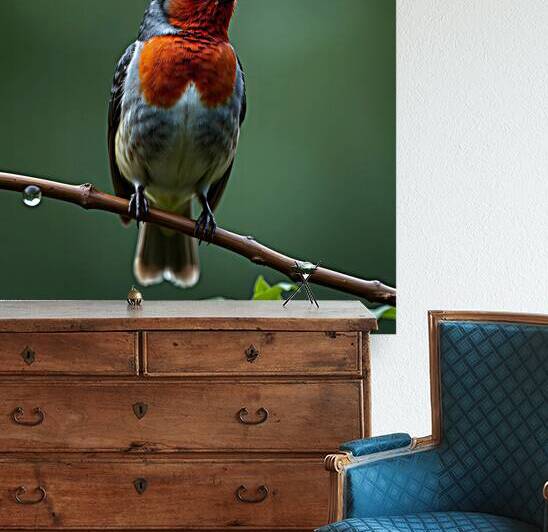 Vibrant Bird with Striking Red Chest by Fab Haven