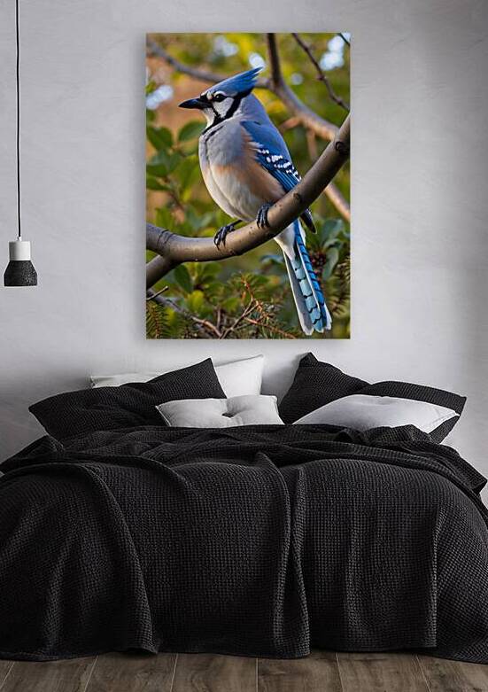 Vibrant Blue Jay Portrait by Fab Haven
