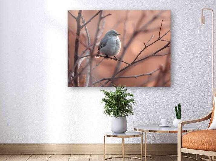 Serene Winter Bird on Bare Tree Branch by Fab Haven