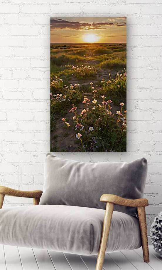 Golden Steppe with Wildflowers by Fab Haven