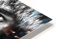 Frostbound Gaze HD Metal print