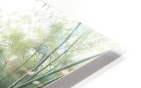 Serene Bamboo Forest Path HD Metal print