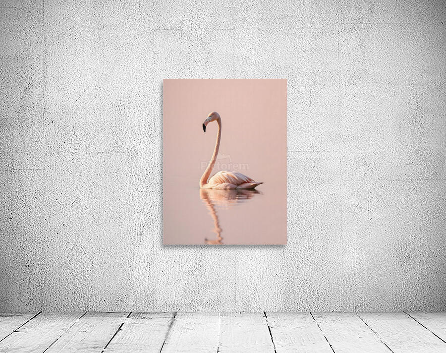 Graceful Flamingo Reflection Wall Preview