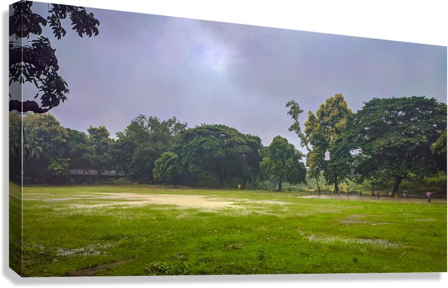 Rakibs Landscape Canvas Print