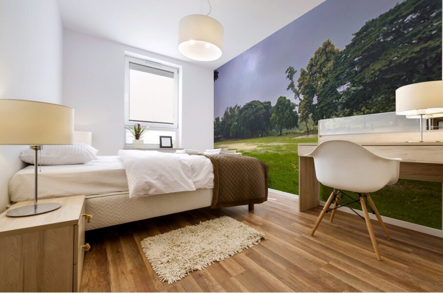Rakibs Landscape Mural print