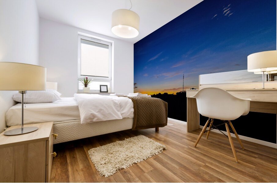 Rakibs SKY Mural print