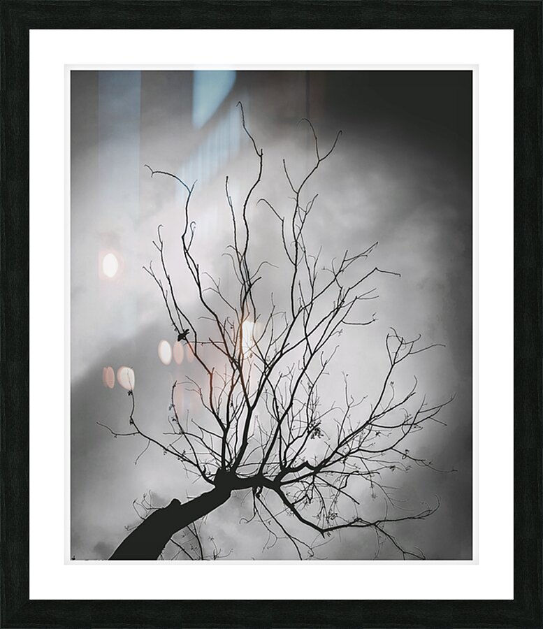 Rakibs Artwork Picture Frame print