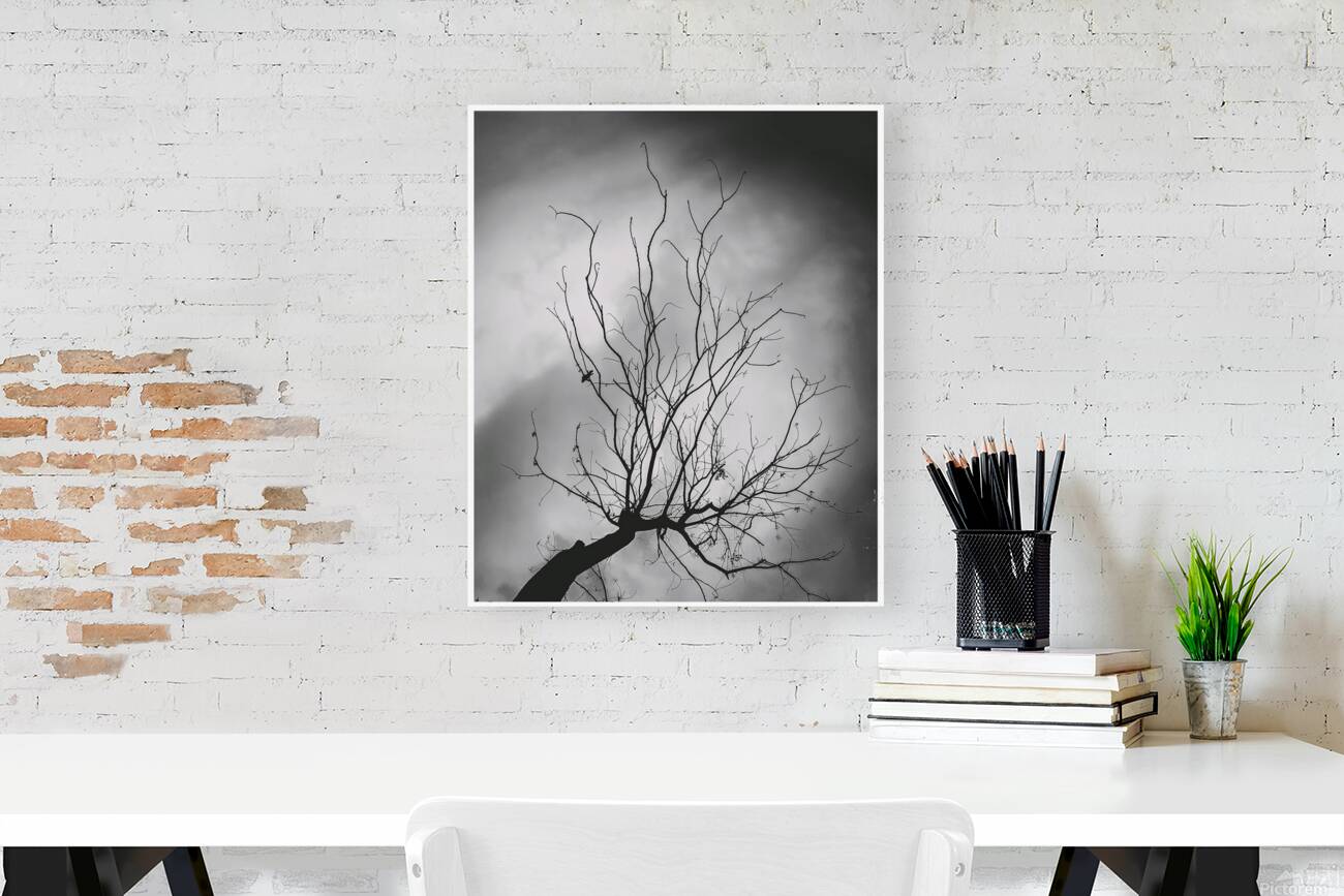 Rakibs Artwork Reproduction