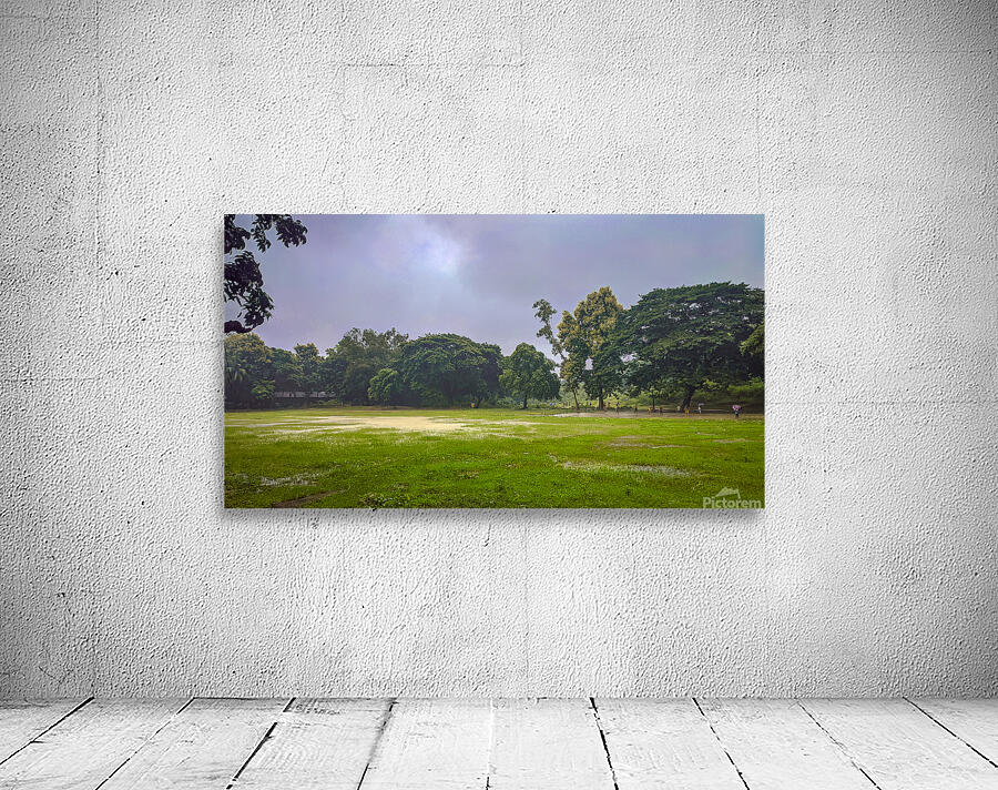 Rakibs Landscape Wall Preview