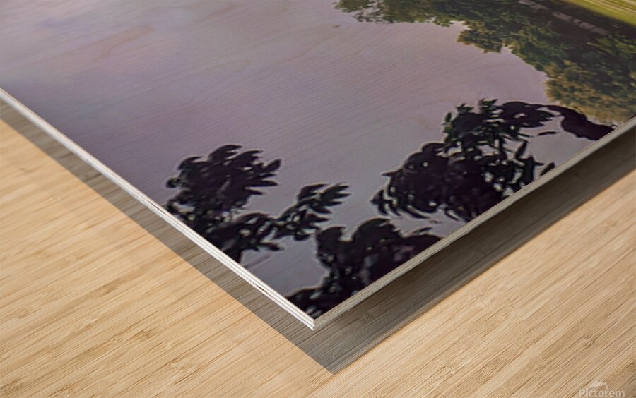 Rakibs Landscape Wood print