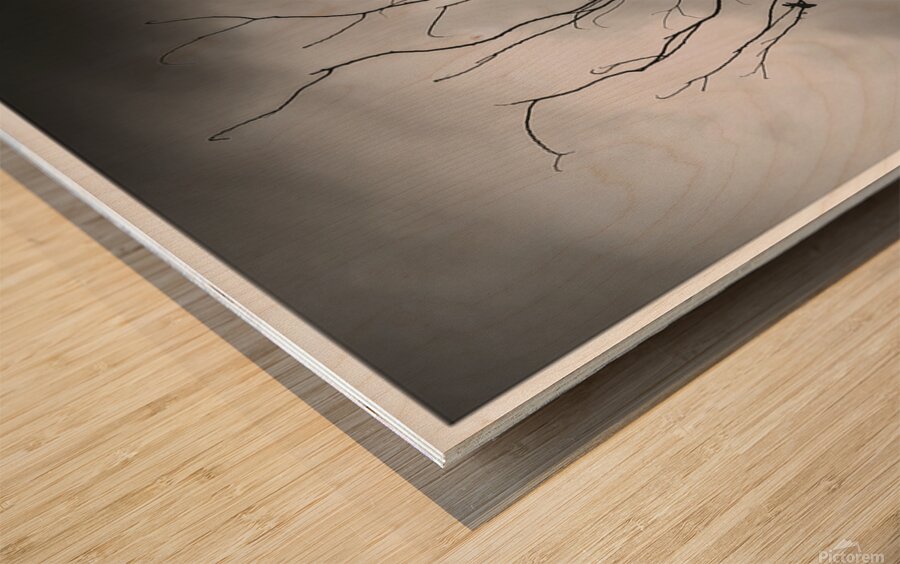 Rakibs Artwork Wood print