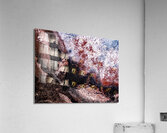 IMG 8415 Acrylic Print