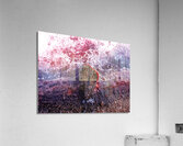 IMG 8393 Acrylic Print