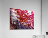 IMG 8391 Acrylic Print