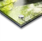 Sindri -  gleaming Acrylic print
