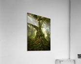 Twisted Acrylic Print