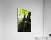 Sindri -  gleaming Acrylic Print