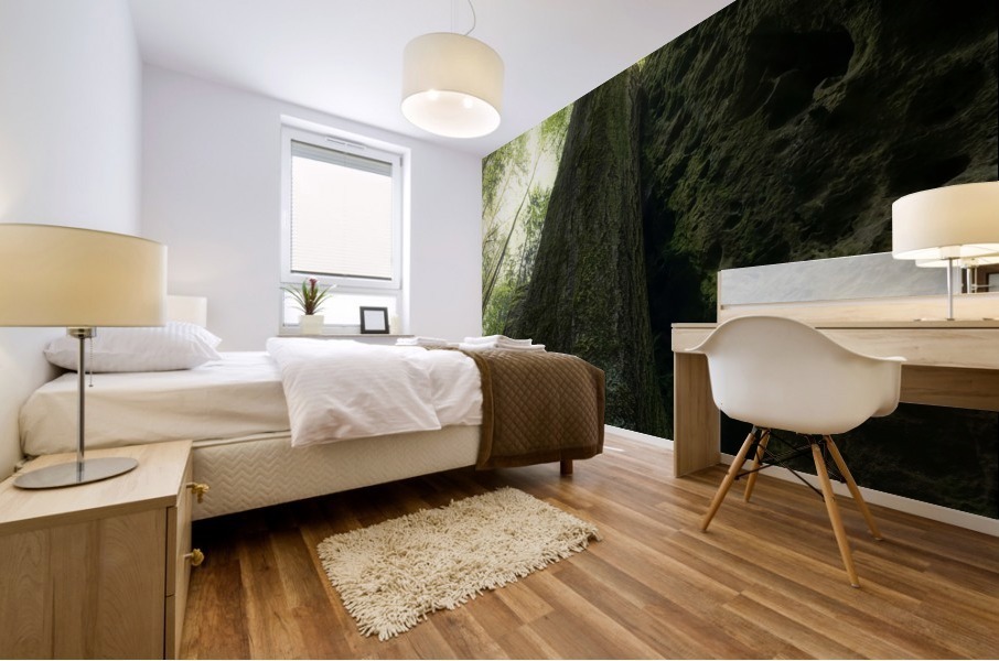 Sindri -  gleaming Mural print