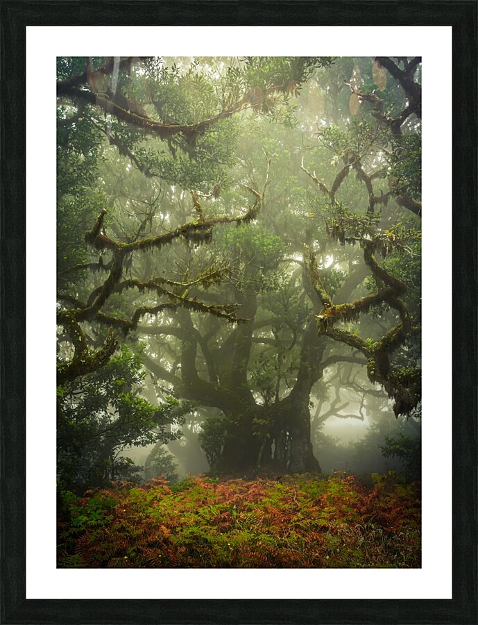 Tentacles Picture Frame print