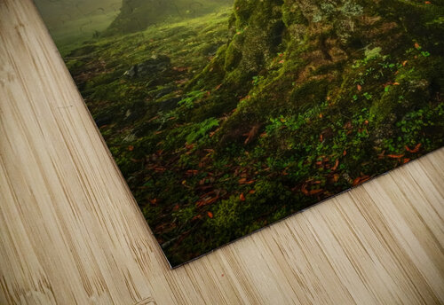 Twisted Anke Butawitsch puzzle