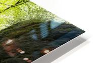Sindri -  gleaming HD Metal print