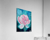 Lotus Acrylic Print