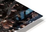 Gaze HD Metal print