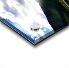 See Acrylic print