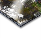 Turtle Territory   Acrylic print