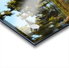 Blurred But Focused Acrylic print
