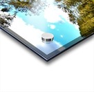 Dock Acrylic print