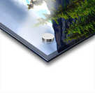 Perspective Approves Acrylic print
