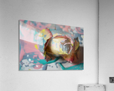 Painted Roses.03 Acrylic Print