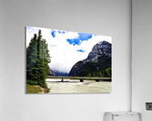 Where to Go Acrylic Print