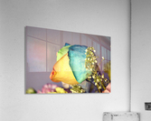 Blank Colours Acrylic Print