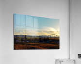 Bloomin Acrylic Print