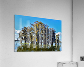 Waterways Acrylic Print