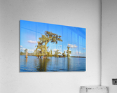 On a Curve Acrylic Print