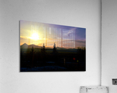 Another Look Acrylic Print