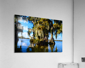 Rock Bottom Acrylic Print