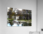 Turtle Territory   Acrylic Print