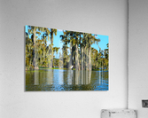 Here I Am Again Acrylic Print