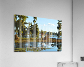 Blurred But Focused Acrylic Print