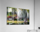Spot Me Out Acrylic Print