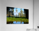 See Me Yet Acrylic Print