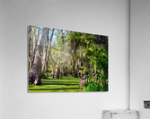 Travel My Path Acrylic Print