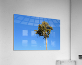 Windy  Acrylic Print