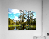 Dock Acrylic Print